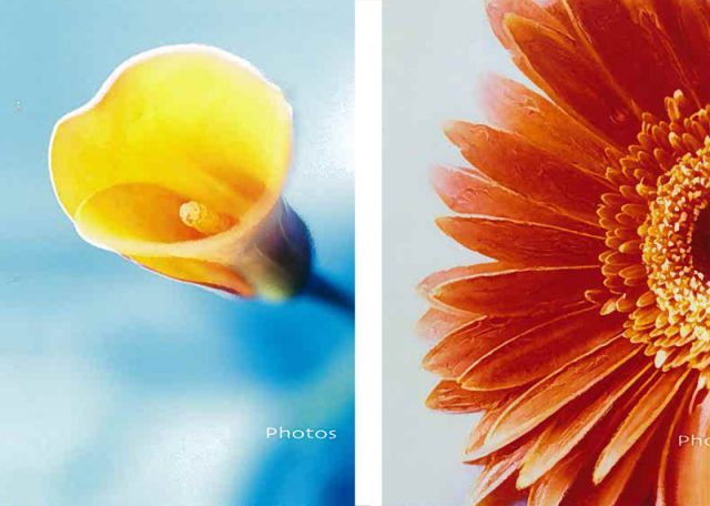 ALBUM MEMO FIORI ALBUM MEMO FIORI